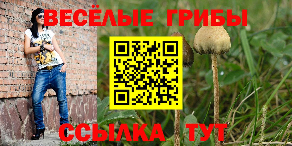 Фрязино  Псилоцибиновые грибы MAGIC MUSHROOMS  Вход с VPN 